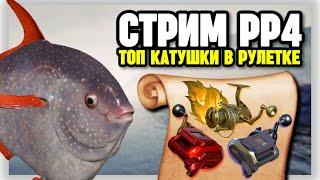  СТРИМ РР4┃ЗА РЕДКОЙ РЫБОЙ на НОРВЕЖСКОЕ МОРЕ┃ РАПТОР и ВЕНГА в рулетке┃maXS1k