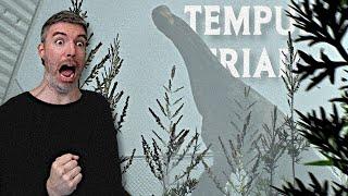 TEMPUS TRIAD - Der THERIZINO jagt mir ANGST ein!  Das nächste DINOSAURIER Found Footage Horror Game