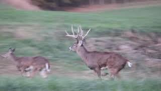 Welcome to Rocky Fork Whitetails | 2021 Trailer | Now Booking for 2022!