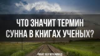 225. Что значит термин "Сунна" в книгах ученых? || Ринат Абу Мухаммад