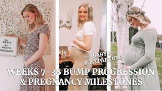 MY PREGNANCY JOURNEY /Belly Growth Progression & Milestones, Weeks 7-38 + Baby & Postpartum, FTM 2VC