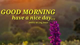 Good morning and have a nice day