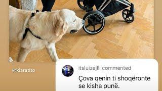 Komenti i Luizit ne foton e Kiares do ju shkrije se qeshuri...