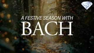 A Festive Season with J.S. Bach