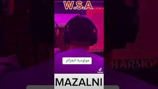 mazalni (wsa) مولودية الجزائر