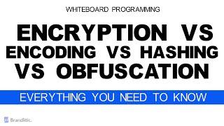 Difference Between Encryption vs Encoding vs Hashing vs Obfuscation Explained