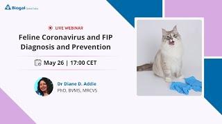 Feline Coronavirus and FIP Diagnosis & Prevention