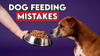 5 Mistakes You're Making Every Time You Feed Your Dog  (And How to Correct Them!)