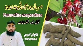 health benefits of Rauvolfia serpentina | choti chandan k faydy or nuqsanat | Dr Azhar Husain Tahir