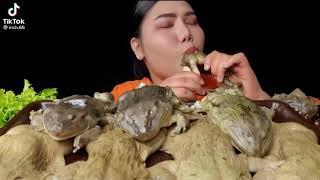 ASMR MAKAN KODOK TERGOKIL