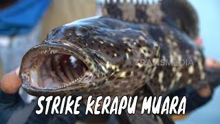 Sensasi Sambaran Ikan Predator Muara | MANCING MANIA STRIKE BACK (03/08/24) Part 3