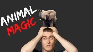 Chuck's Corner Weekly/ Animal Magic/ #Houseoftheunusual.com® #ChuckCaputoMagic®