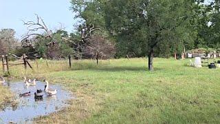 Blessing of Rain in Central Texas and AK 5.56 thoughts.  Palmetto State Armory? Riley Defense?