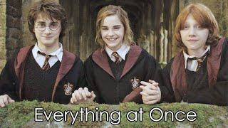 Harry Potter- Everything at Once