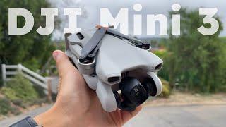 DJI Mini 3 - 6 Month Review