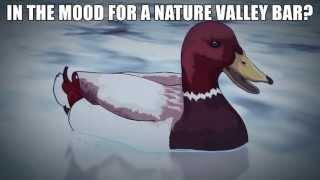 NATURE BAR - Malicious Mallard