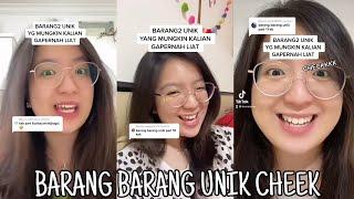 BARANG - BARANG UNIK YANG MUNGKIN KALIAN GAK PERNAH LIHAT CHEEK || KUMPULAN TIK TOK BARANG UNIK