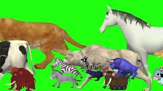 Happy Journey of Animals on Green screen|Cartoon animal stampede green screen video no copyright