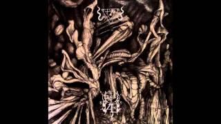 Ævangelist - Omniquity