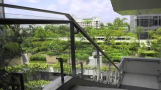 'singapore: biophilic city'