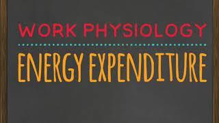 Work physiology - Energy expenditure | Ergonomics