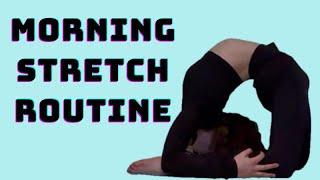 Best MORNING Stretches! Get FLEXIBLE | Beginner Friendly