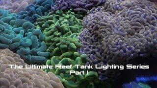 Part 1 - Reef Tank Lighting - ReefKeeping Video Podcast by AmericanReef - Start a Saltwater Aquarium