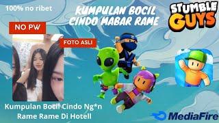 Kumpulan Bocil Cindo Mabar Rame Rame | Stumble Guys Gameplay