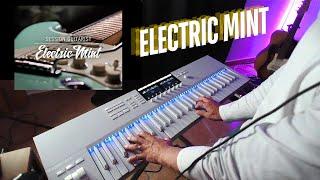 Session Guitarist Electric Mint (Melody) - Presets Play Through