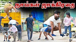 நாய்கள் ஜாக்கிரதை...| SARATH SARMESH COMEDY VIDEO | NAGAI360* HEAD