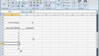 Microsoft Excel for Beginners #04--Autofill and Absolute Cell references