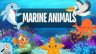 Learn about the Types and Examples of Marine Animals | Sea Animals for Kids