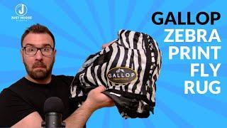 Why Dress Your Horse Like a Zebra? Discover the Gallop Fly Rug | WATCH NOW!