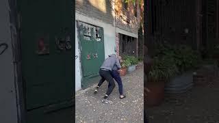 Animal Black belt jiujitsu vs street fighting attack