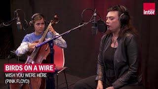 Birds on a wire reprend "Wish you were here" des Pink Floyd