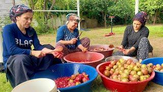 ABLAM GELDİ TAZE NAR HASADI | ODUN ATEŞİNDE LEZZET YEMEKLER İÇİN NAR EKŞİSİ YAPIMI