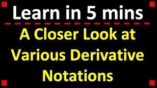 Derivative Notation: Lagrange, Leibniz, Euler, and Newton