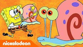 SpongeBob Schwammkopf | Top 11 Süßeste Gary Momente | Nickelodeon Deutschland