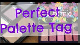 The Perfect Palette Tag!! (Makeup Tag + Questions & Answers!)