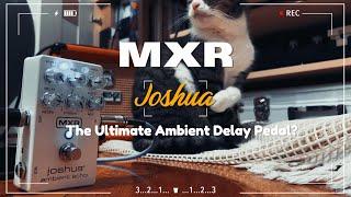 MXR Joshua Ambient Guitar Demo