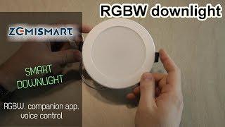 Zemismart 10W RGBW smart Wifi downlight