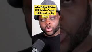 Bitgert Brise To Cancel 4 Zeros by 2025 and Make Crypto Millionaires  Brise Price Prediction