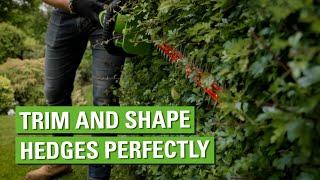 Trim and Shape Hedges Perfectly