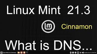 Linux Mint 21.3 - Cinnamon - What is DNS.