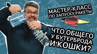 Что общего у бутерброда и кота? / Проверено наукой