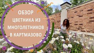 Обзор цветника из многолетников в Картмазово