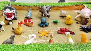 Muddy Ocean Animals and Farm Animals Epic Adventure for Kids | Interactive Learning