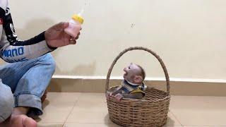 Max Screaming Loud In Basket Hunqry To See Dad Take His Bottle Milk