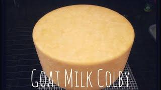 Goat Milk Colby - Cheesemaking at Home