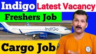 Indigo Airlines job Vacancy 2021| Airlines Job Vacancy 2021| Airport Job Vacancy 2021 |  @flyair ​